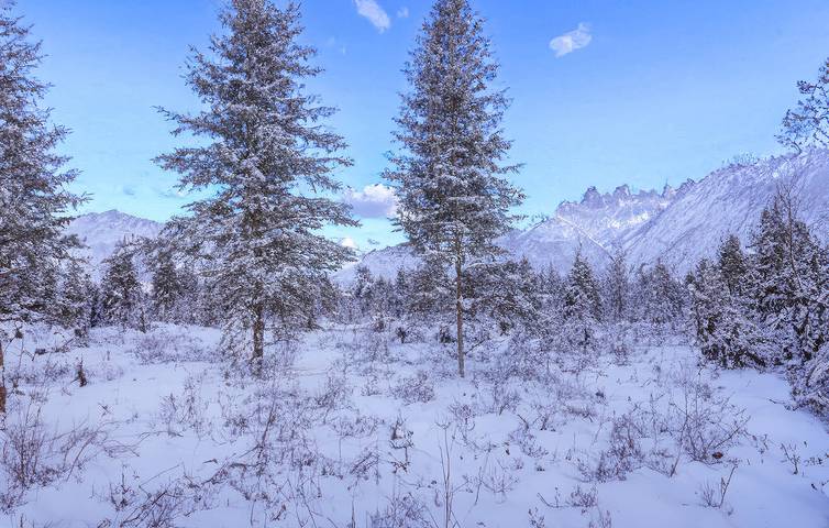 Ferienhaus für 4 Personen, mit Garten und Terrasse, mit Haustier in Jabel - 2