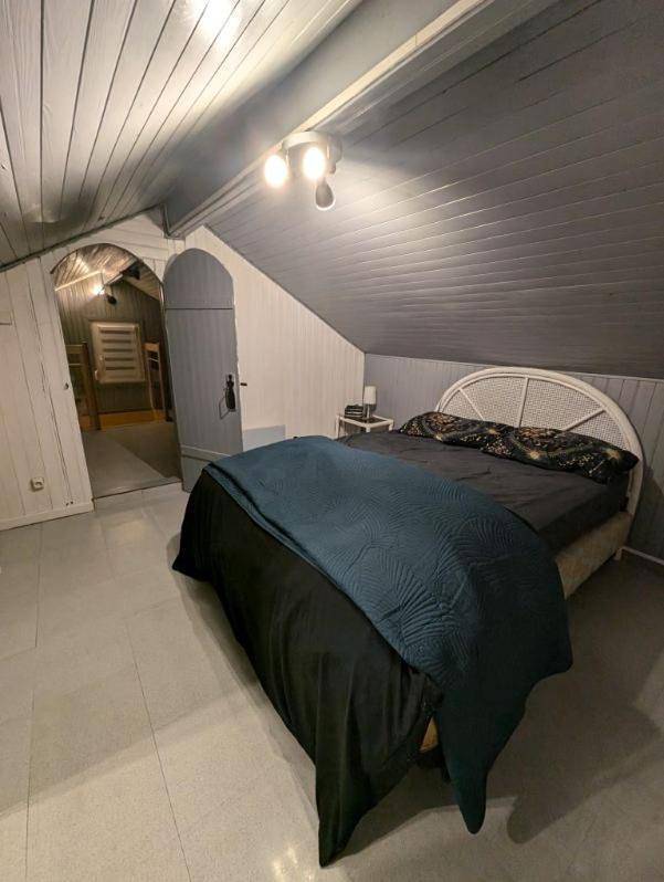 Location de vacances pour 5 personnes, avec jardin et piscine, animaux acceptés dans Réservoir de Bouzey - 4