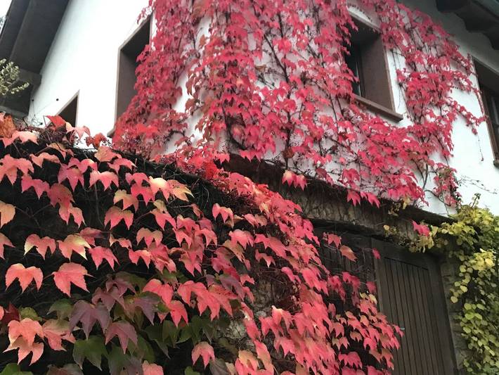 Ferienwohnung für 2 Personen, mit Garten, kinderfreundlich in Merzig - 2