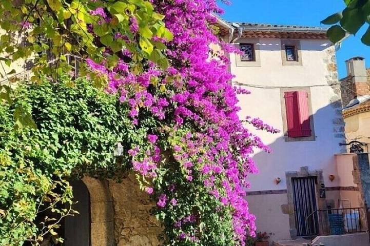 Location de vacances pour 6 personnes, avec Terrasse ainsi que Jardin et Piscine à Ornaisons