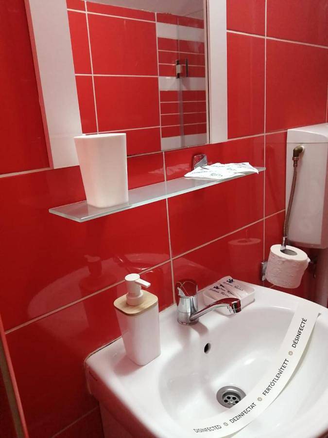 Gîte pour 5 personnes, avec terrasse et vue à Sinaia - 3