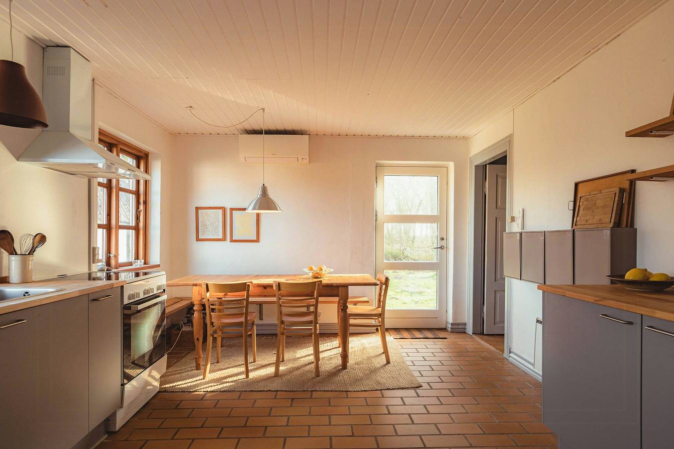 Kvæg og heste på Lundstedet ved Skovsgaard in Rudkøbing, Langeland
