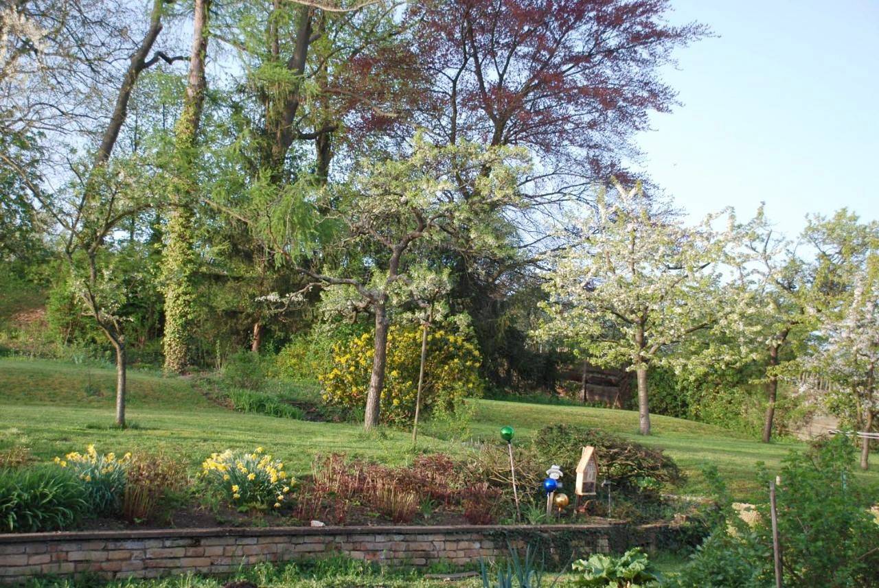 Holiday Home in Scharrachbergheim-Irmstett, Nord de l'Alsace