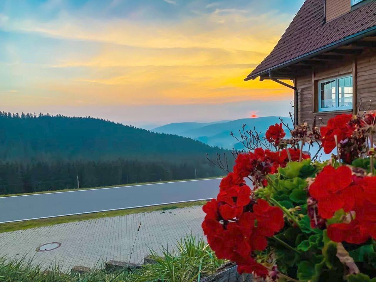 Pension Forsthaus Täle - das Gästehaus vom Schwarzwaldgasthaus Salenhof in Schwärzenbach (Titisee-Neustadt), Titisee-Neustadt