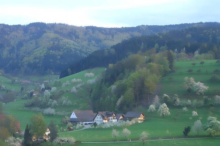 Ferienwohnung für 2 Personen, mit Balkon und Garten, mit Haustier in Glottertal