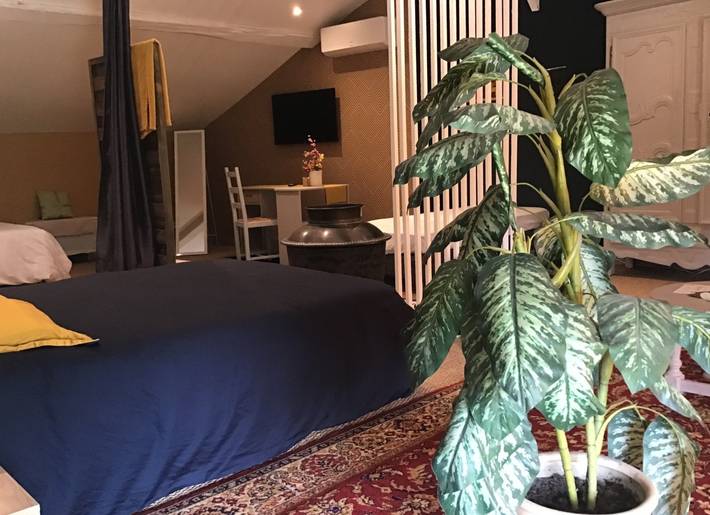 Chambre d’hôte pour 5 personnes, avec jardin dans l' Ain - 3