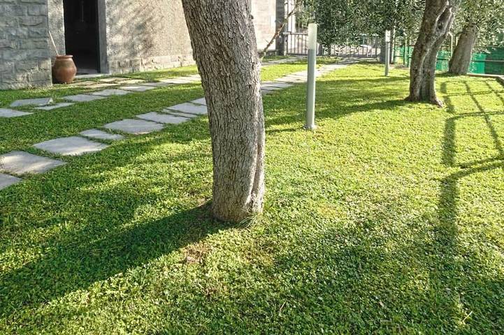 Villa per 13 persone, con idromassaggio e giardino - 1