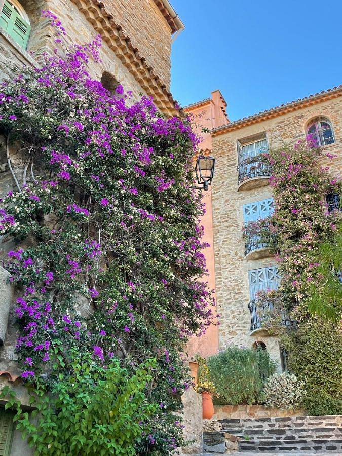 Gîte pour 5 personnes, avec vue dans Office De Tourisme De Bormes Les Mimosas - Le Port - 2