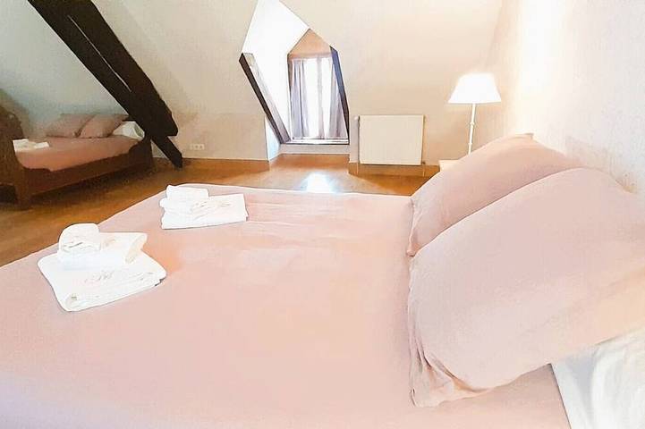 Location de vacances pour 14 personnes, avec terrasse et jardin à Levroux - 4