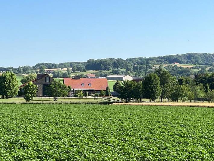 Vakantiehuis voor 8 personen, met uitzicht en terras in Heuvelland