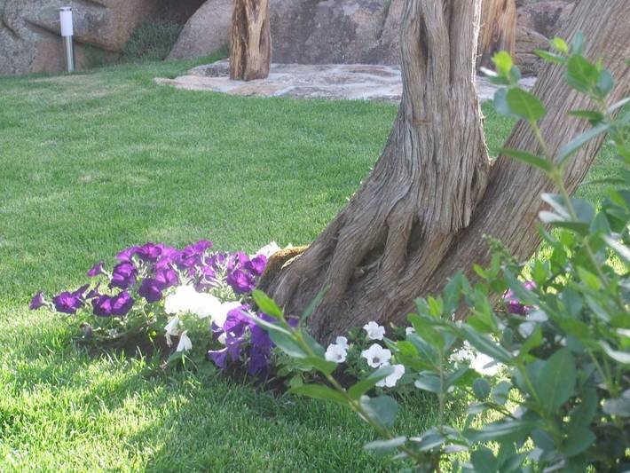 Location de vacances pour 2 personnes, avec jardin et balcon à Arzachena - 4