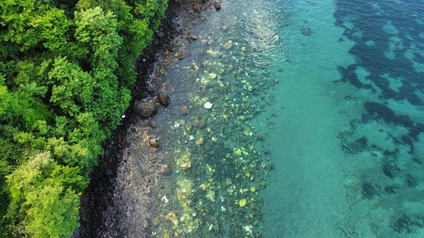 Gîte pour 4 personnes, avec jardin et vue à Case-Pilote - 3