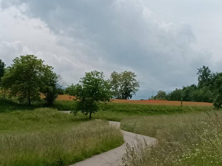 Location de vacances pour 8 personnes, avec jardin et vue à Feltre - 4