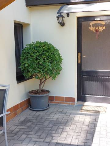Ferienwohnung für 2 Personen in Struppen, Sächsische Schweiz-Osterzgebirge, Bild 3
