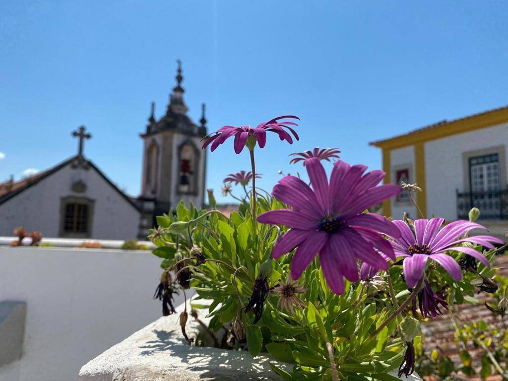 Casa do Toupeiro in Óbidos, Leiria distrito