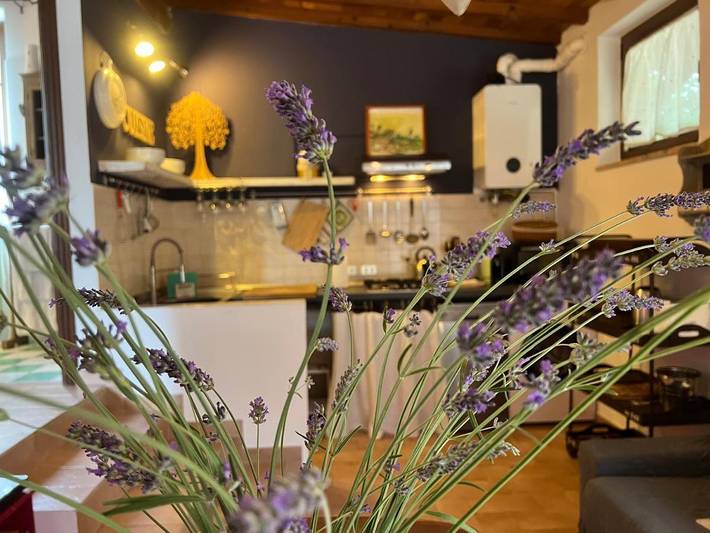 Location de vacances pour 6 personnes, avec vue ainsi que piscine et jardin, animaux acceptés à Corciano - 4