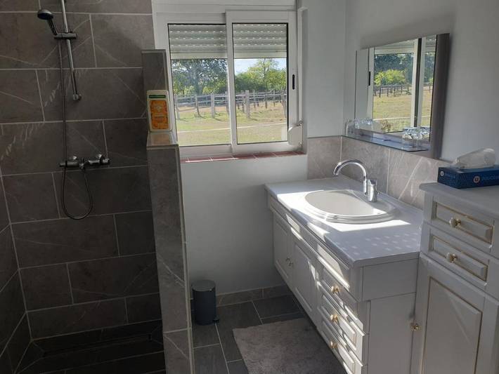 Location de vacances pour 4 personnes, avec vue et terrasse à Châteauneuf-sur-Sarthe - 4