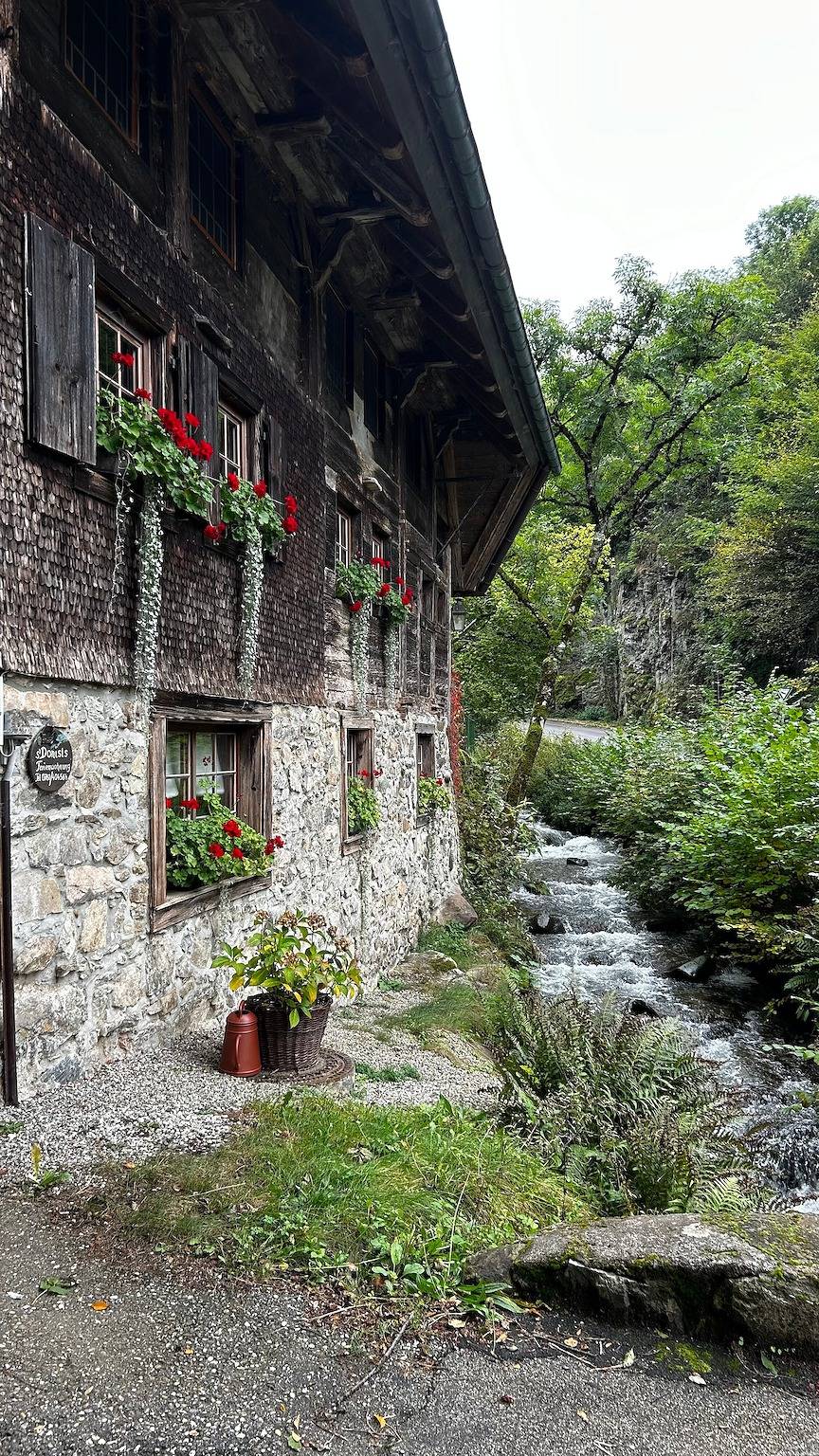 Apartment Haus 's Donisls mit privater Terrasse, Garten und Wlan in Obermünstertal, Münstertal