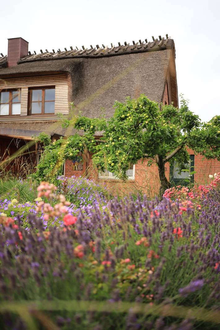 Studio für 2 Personen, mit Garten und Sauna in Geltinger Bucht