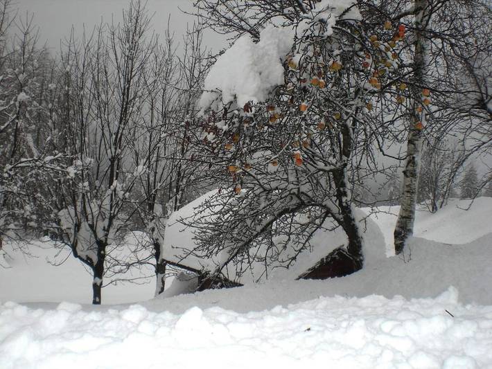 Location de vacances pour 2 personnes, avec vue et jardin à Cortina d'Ampezzo - 3