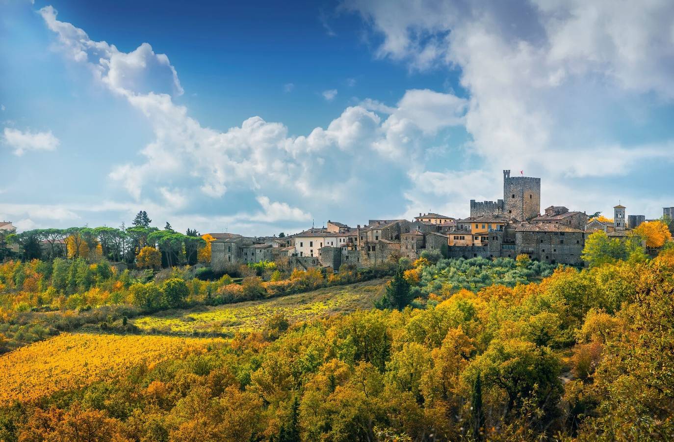 Appartamento intero, Appartamento 'Poggio Della Capannina Di Castellina in Chianti' con giardino privato e Wi-Fi in Castellina in Chianti, Chianti
