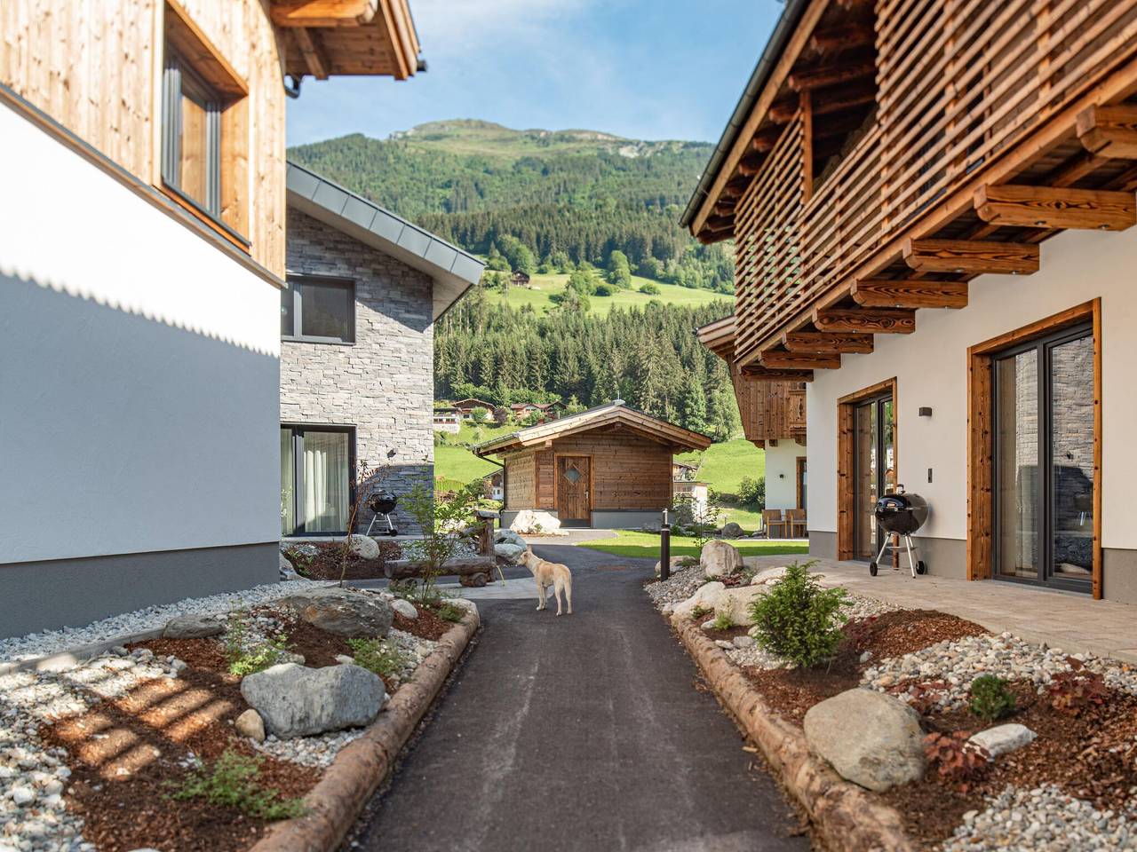 Chalet in Wald nahe Krimmler Wasserfälle in Lahn (Wald im Pinzgau), Kitzbüheler Alpen