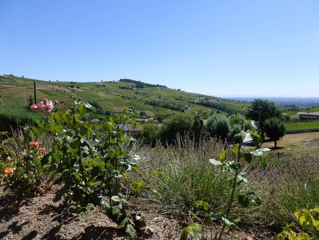 Casa de huéspedes para 4 personas con terraza in Juliénas, Beaujolais