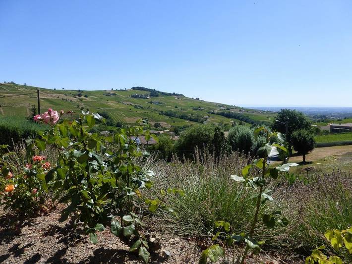 Gîte pour 4 personnes, avec terrasse dans Rhône - 3