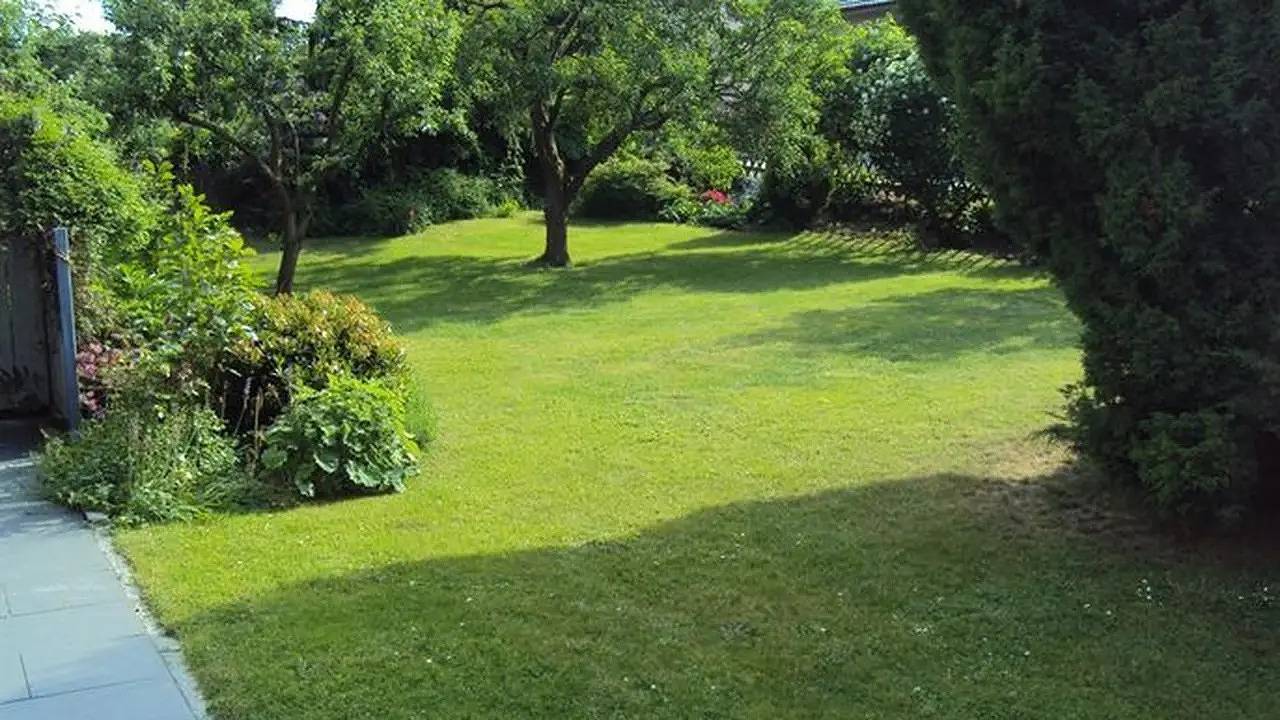 Ganze Ferienwohnung, Ferienwohnung für 3 Personen (50 m²) in Raben Steinfeld in Raben Steinfeld, Ludwigslust-Parchim