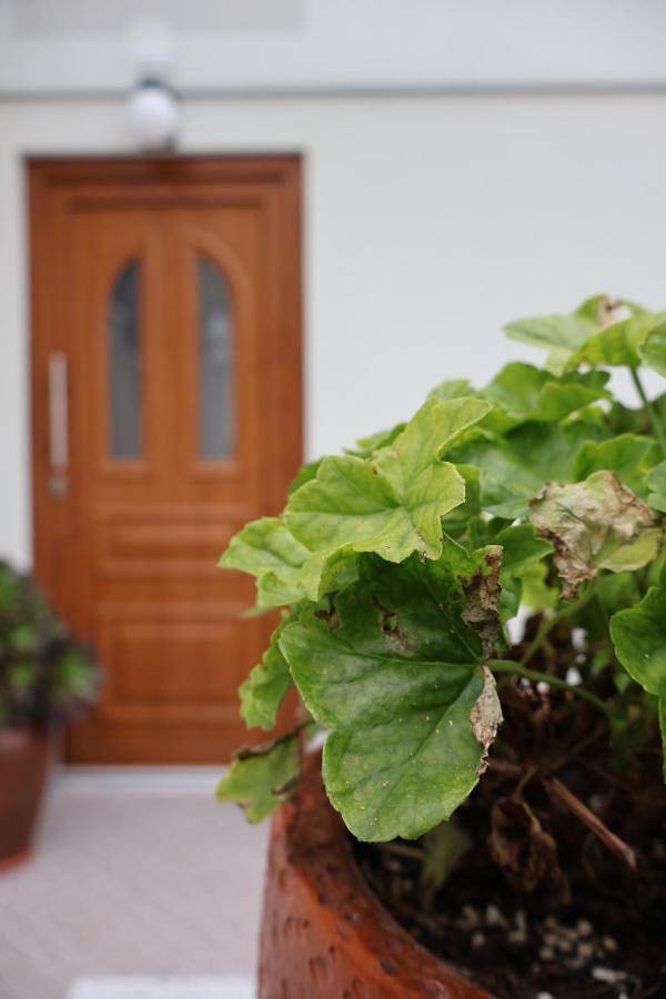 Location de vacances pour 2 personnes, avec piscine ainsi que terrasse et vue dans Caniçada - 2