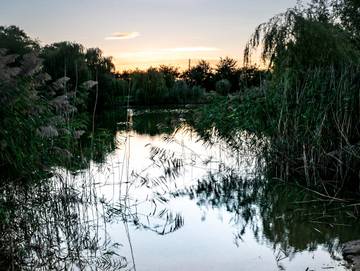 Cottage for 6 People in Boston (Lincolnshire), Lincolnshire, Photo 3