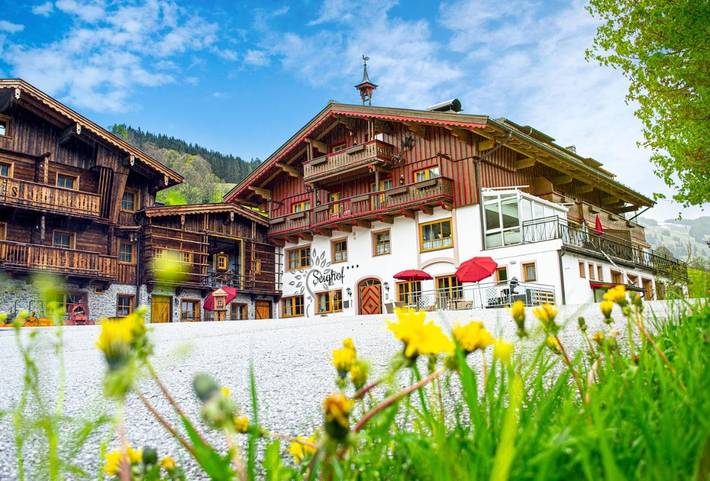 BnB für 4 Personen, mit Sauna und Terrasse, mit Haustier in Saalbach-Hinterglemm-Leogang - 4