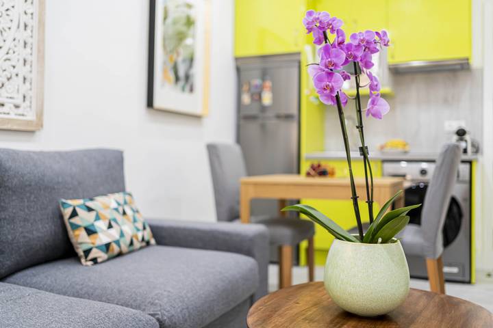 Appartement entier, M Cute Apartment Downtown Madrid Centro in Chamberí (Madrid), Madrid