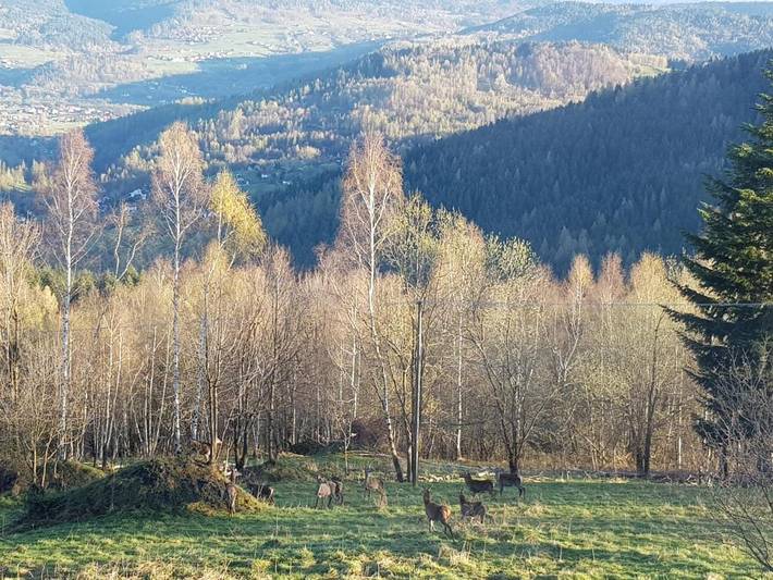 Location de vacances pour 2 personnes, avec terrasse ainsi que jardin et jacuzzi à Stryszawa - 4