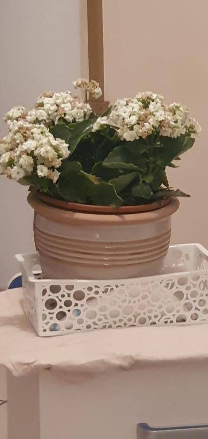 Gîte pour 2 personnes, avec vue à Bassens - 4