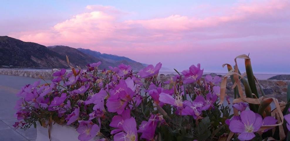 Maison d’hôte pour 2 personnes, avec balcon et vue dans Palaiochora - 2