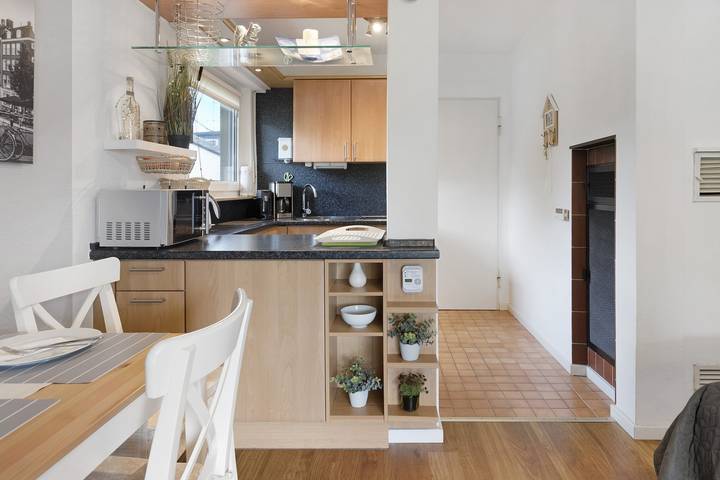 Ganzes Studio, Einzimmerapartment 'Boutique Apartment Anybody' mit Seeblick, Balkon und Wlan in Gaienhofen, Untersee