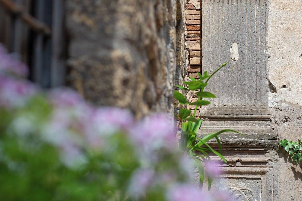 Entire apartment, Etruskings Holiday Home is a place where the past meets the present. in Tarquinia, Viterbo Province