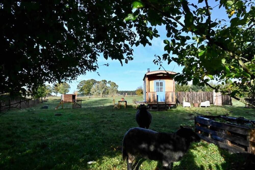 Autarker Schäferwagen mit Kamin & Sauna ganzjährig nutzbar im Naturgarten in Dargun, Mecklenburgische Seenplatte