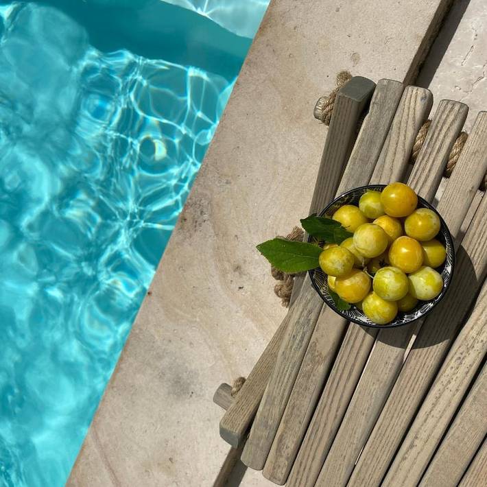 Chambre d’hôte pour 2 personnes, avec terrasse, animaux acceptés à Ligré - 2