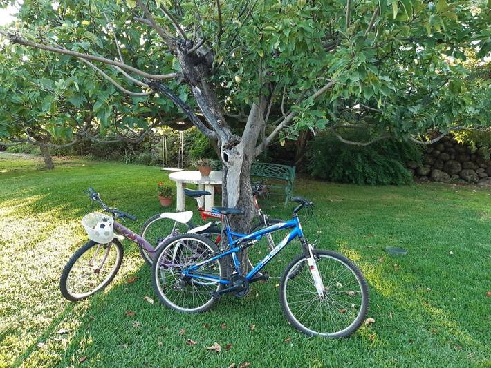 Location de vacances pour 4 personnes, avec vue ainsi que jardin et piscine à Candeleda - 2