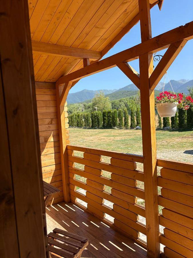 Gîte pour 2 personnes, avec terrasse et vue en Roumanie - 4