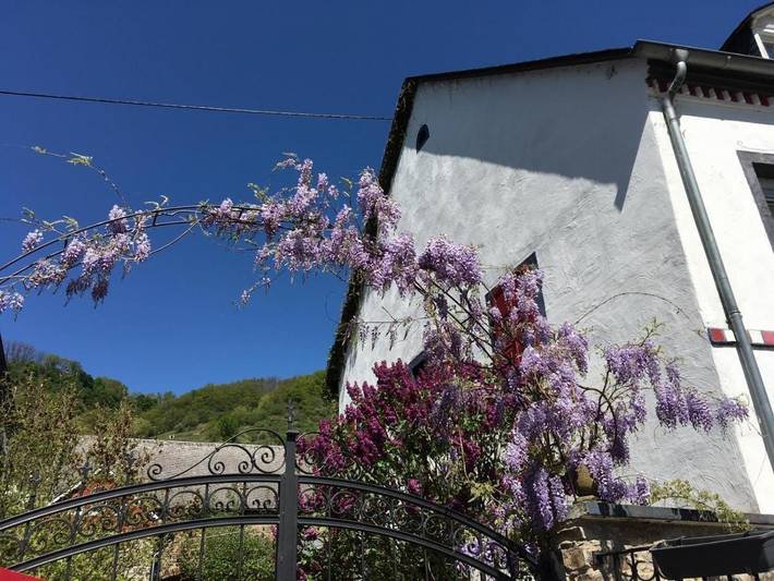 Ferienhaus für 3 Personen, mit Terrasse und Garten sowie Ausblick in Hatzenport - 3