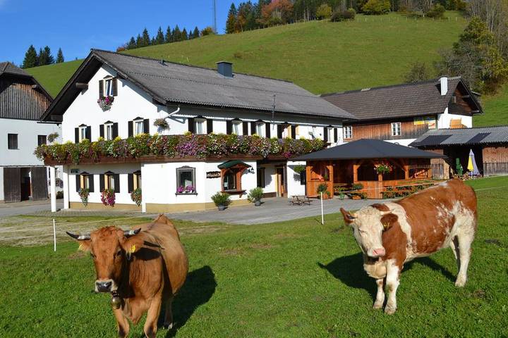 Urlaub am Moaserhof - Doppelzimmer "Hetzkogel" mit Balkon in Lunz am See, Mostviertel