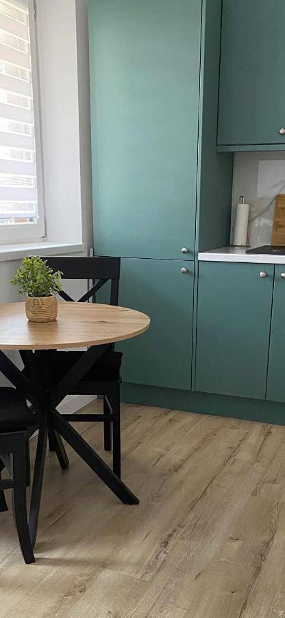 Gîte pour 4 personnes, avec balcon et jardin dans Baia Mare - 2