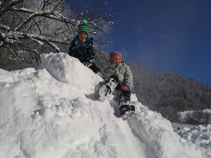 Ferienwohnung für 5 Personen, mit Balkon und Garten, kinderfreundlich im Bregenzerwald - 2