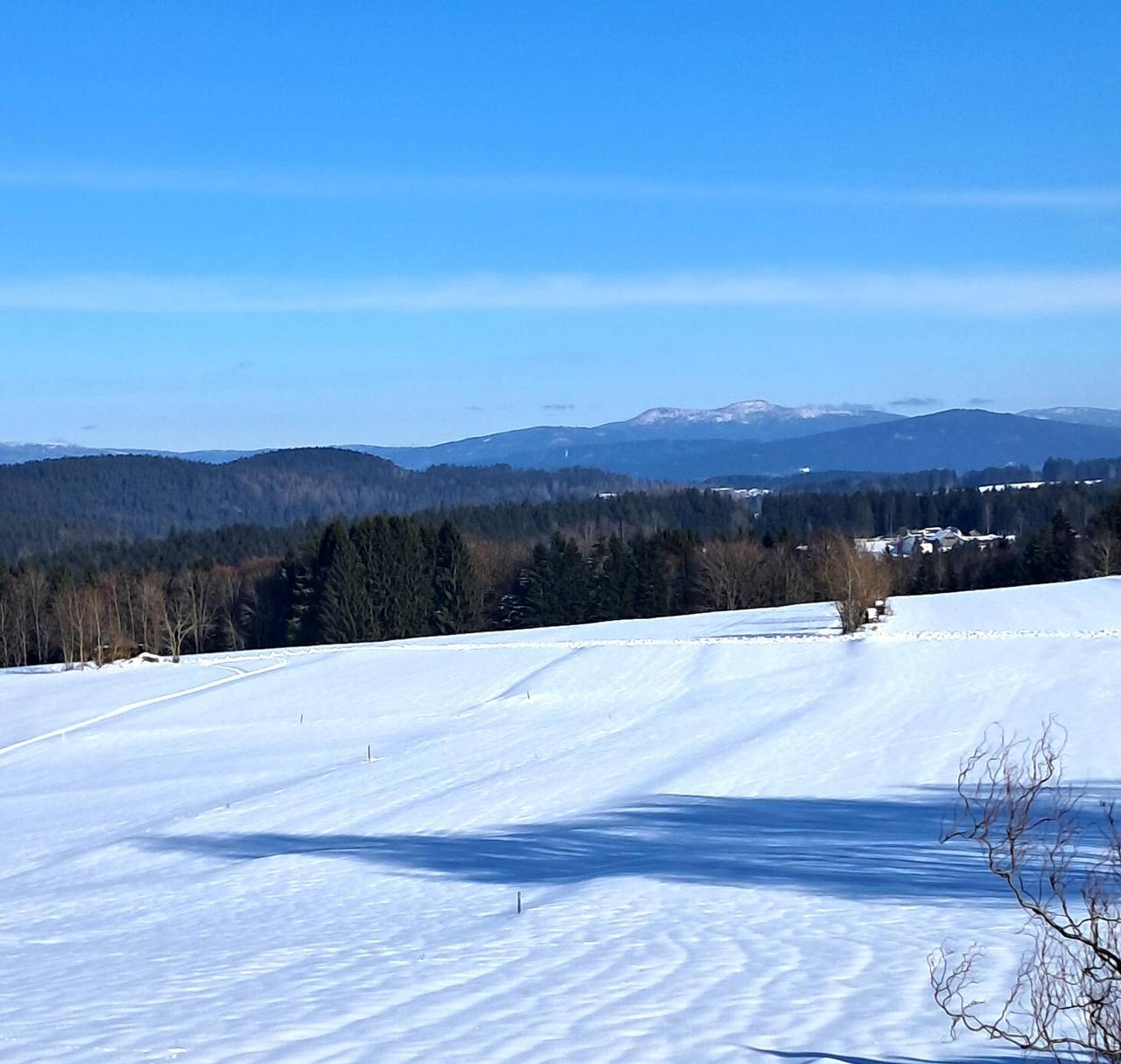 Haus Probst - Ruhige Ferienwohnung mit Ausblick auf die Berge in Bischofsmais, Ostbayern