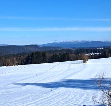 Ferienhaus für 4 Personen in Bischofsmais, Vorderer Bayerischer Wald, Bild 3