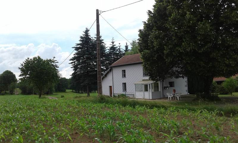 Gîte pour 5 personnes, avec terrasse et jardin, animaux acceptés dans les Vosges - 2