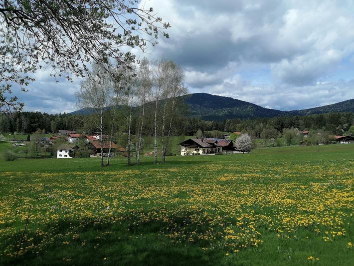 Ganze Wohnung, Ferienwohnung Josef Müller - Ferienwohnung Arber mit Balkon in Arnbruck, Ostbayern